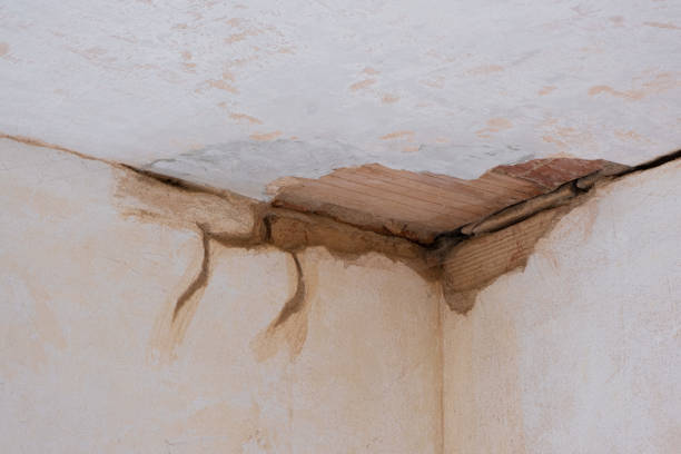 Best Flood restoration services  in Medical Lake, WA