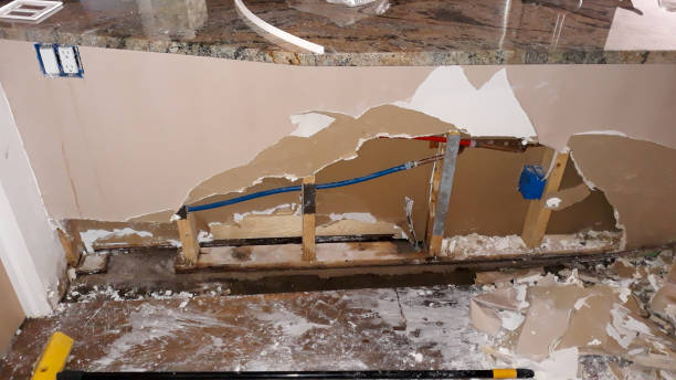 Best Mold removal after water damage  in Medical Lake, WA