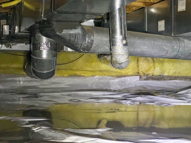 Best Basement water damage restoration  in Medical Lake, WA